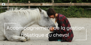 Accompagnement de la gestion hollistique du cheval